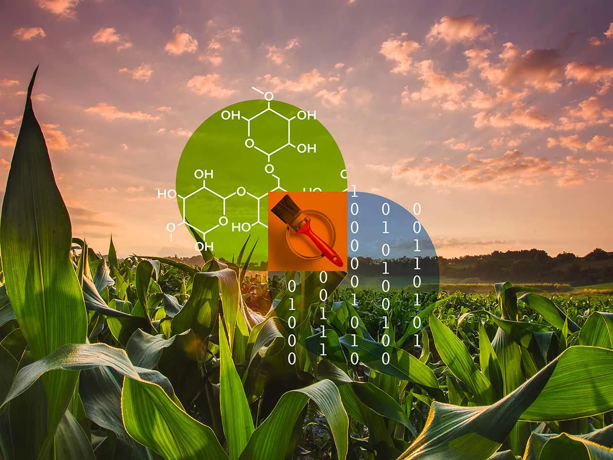 Chemical equation for paint combined with data