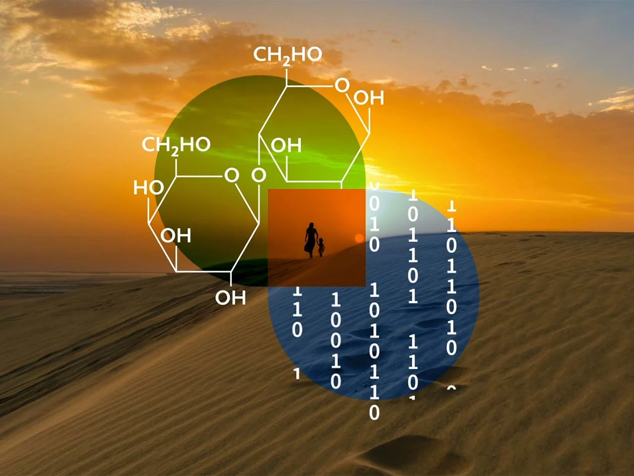 Innovation Intelligence from Elsevier